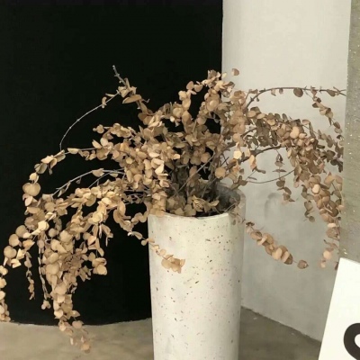 兽设花海场景绘制兽圈社群